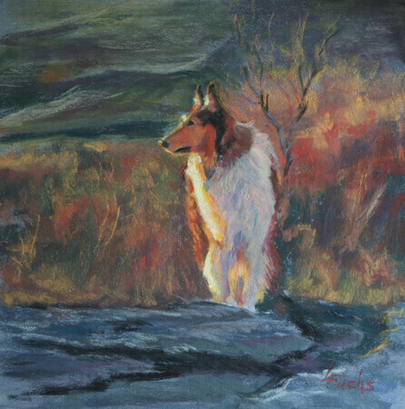 Collie in the Coulee