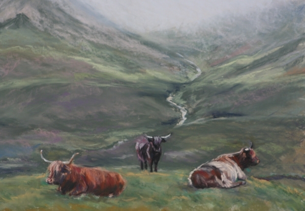 Highland Cattle, Isle of Skye