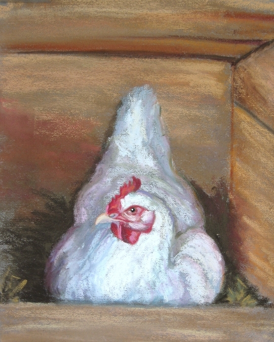 This Old Hen